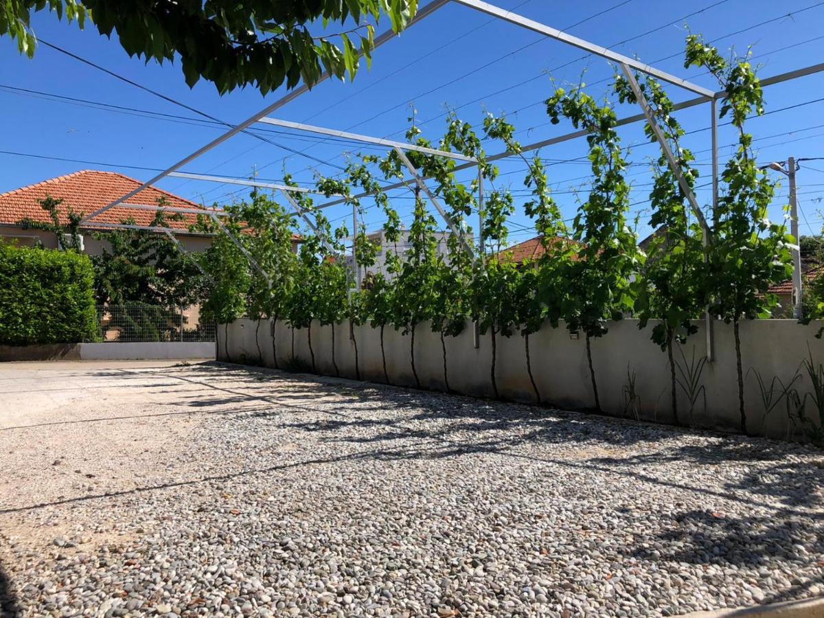 Apartman Luce Διαμέρισμα Bibinje Εξωτερικό φωτογραφία