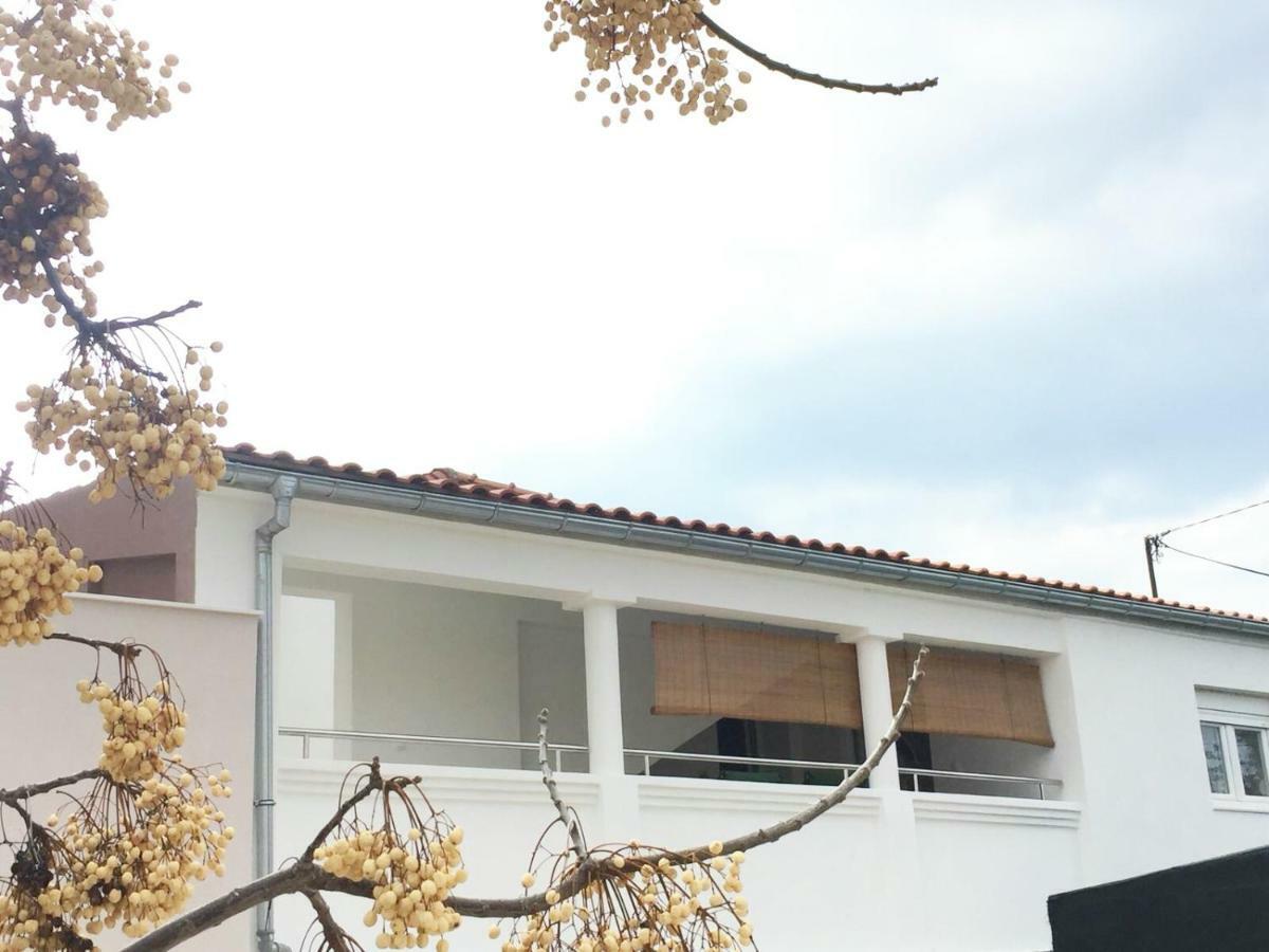 Apartman Luce Διαμέρισμα Bibinje Εξωτερικό φωτογραφία